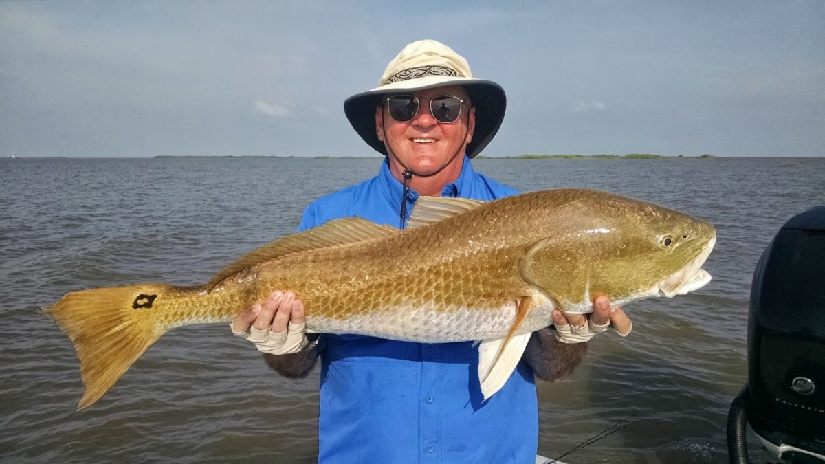 2014-2015 Louisiana Fishing Reports