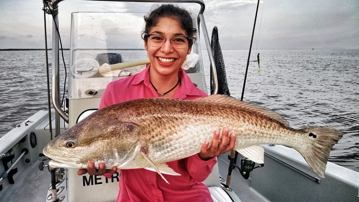 August 28, 2015 – Louisiana Fishing Reports